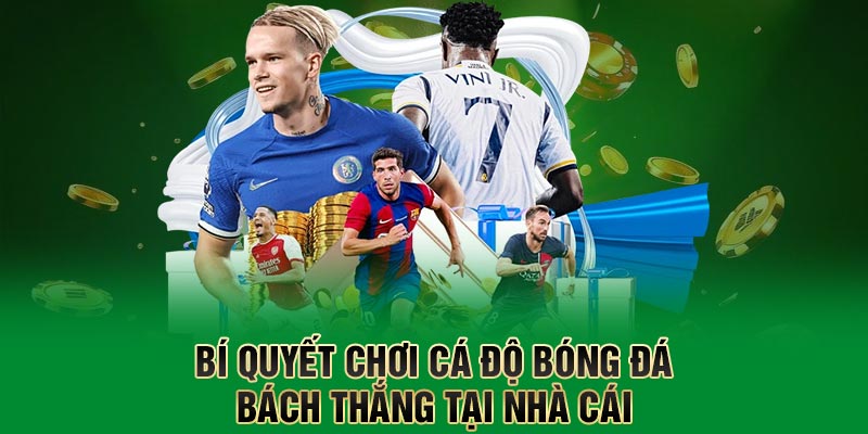 Bí quyết chơi cá độ bóng đá bách thắng tại nhà cái