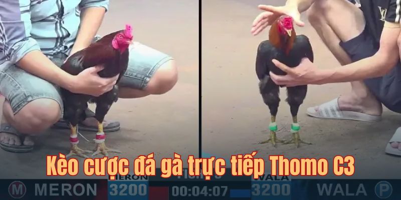 Cược BDD dù xác suất trúng thấp nhưng mức thưởng rất cao