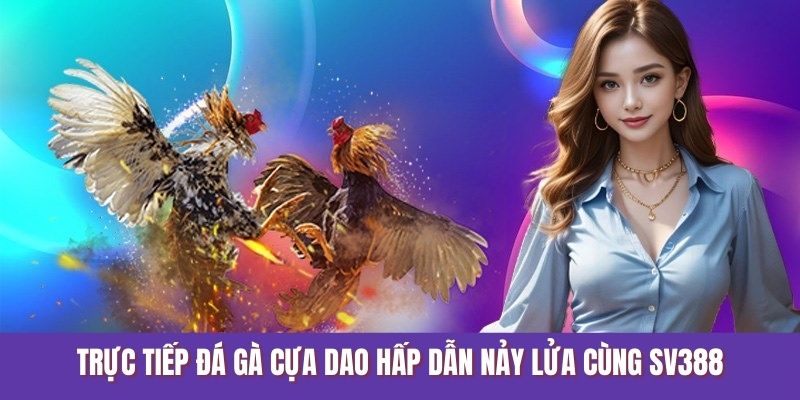 Trực Tiếp Đá Gà Cựa Dao Hấp Dẫn Nảy Lửa Cùng SV388